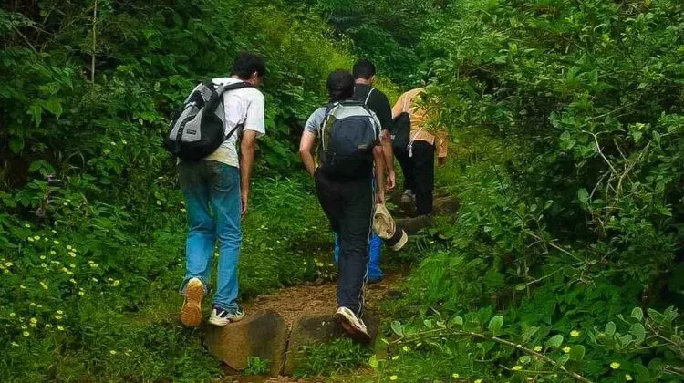 Trekking Charges in Andaman