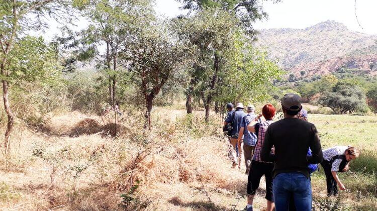 Trekking Charges in Rajasthan