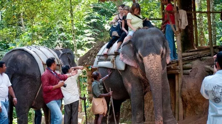 Price for Elephant Ride in Kerala