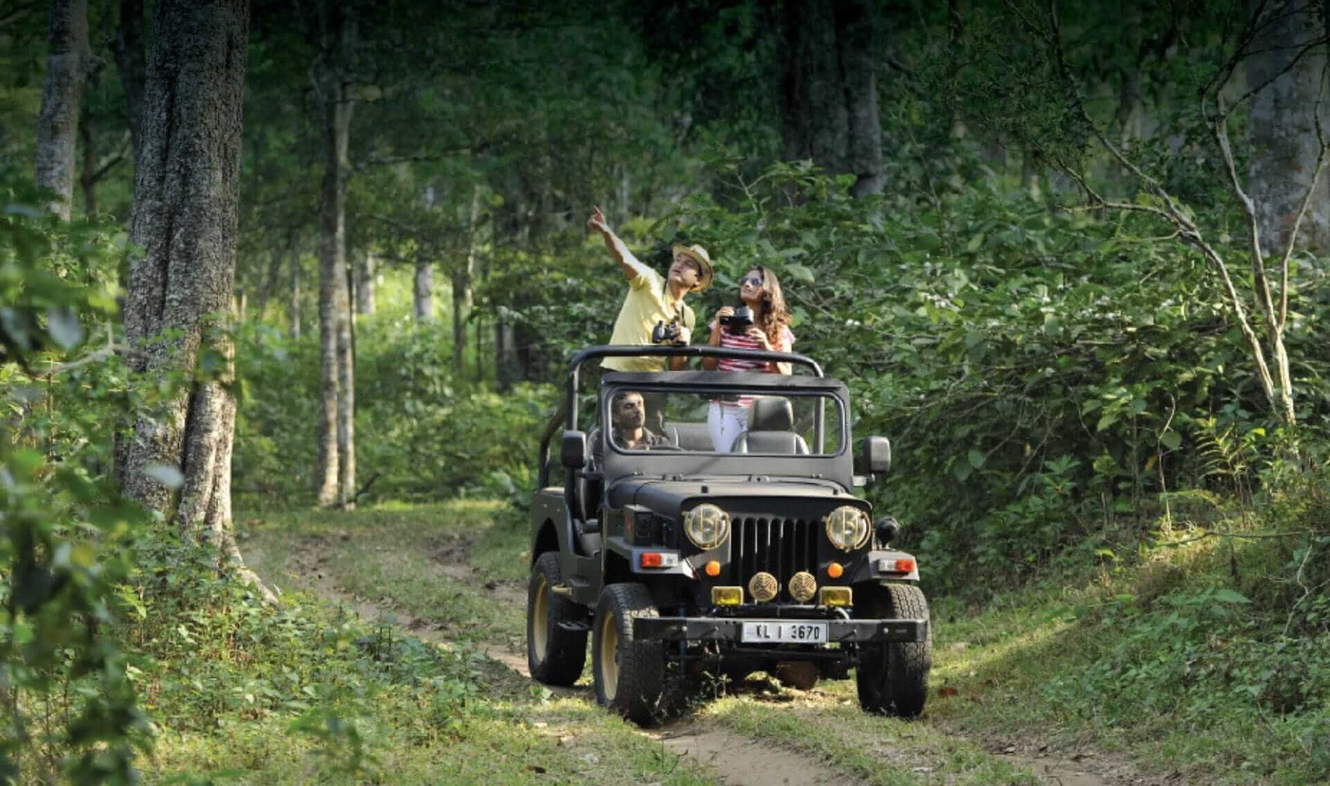 jeep safari define