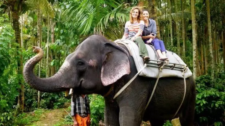 Kerala Tour Package with Elephant Ride