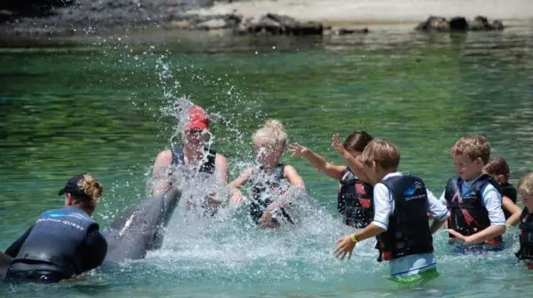 Price for Grande Island Trip With Dolphin Safari in Goa
