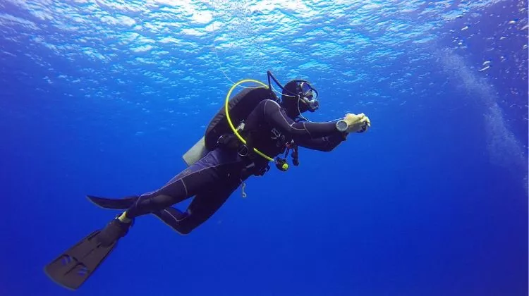 Scuba diving Rate in Malvan