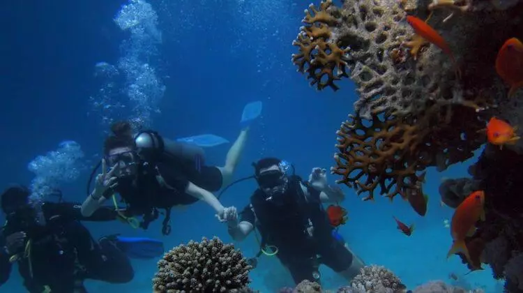 Sea Diving in Andaman