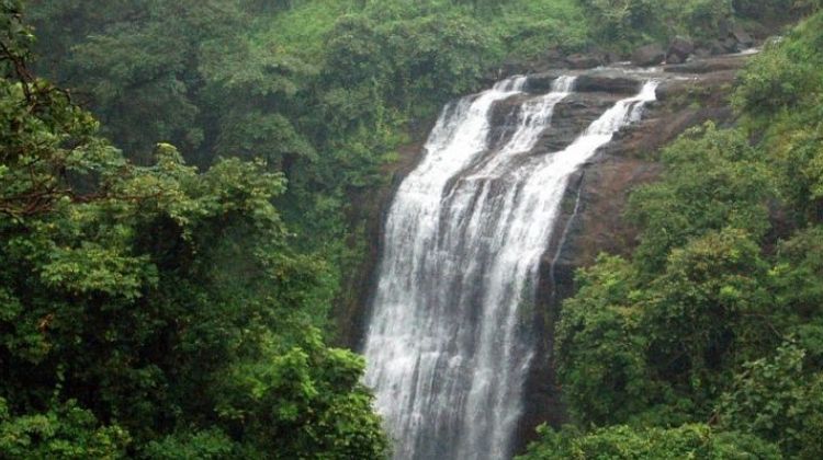 Amboli Waterfalls in Goa Price