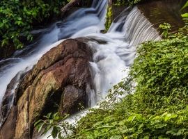 Aruvikkuzhi Waterfall in Kerala