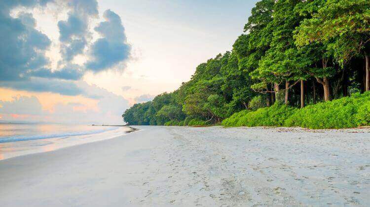 Best time to visit Radhanagar Beach In Andaman