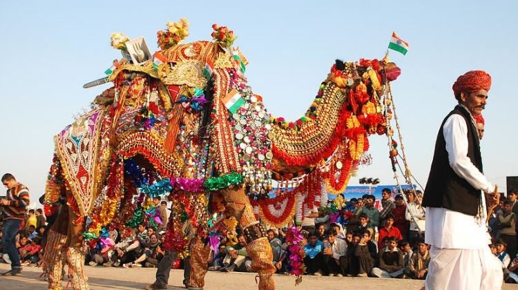 Bikaner Camel Festival in Rajasthan Sightseeing