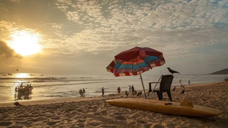 Calangute Beach in Goa - (542+ Reviews & Photos ) - 2020 | Picnicwale