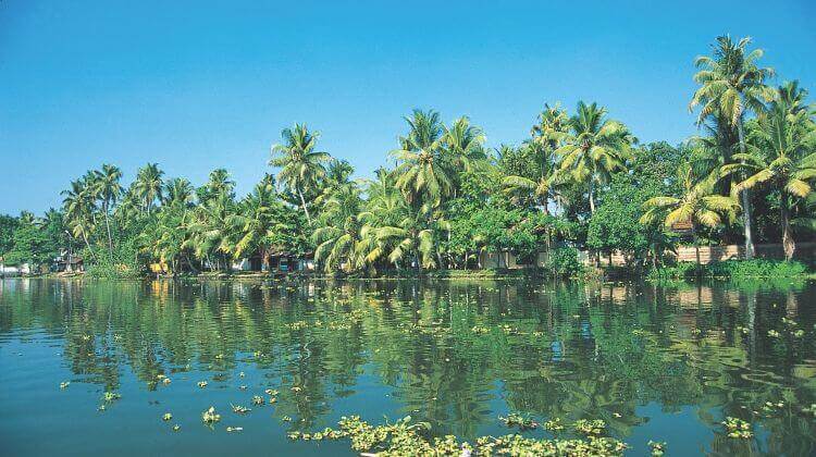 Kumarakom Backwater Sightseeing In Kerala