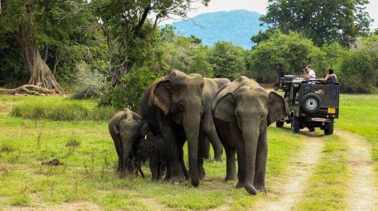 Best time to visit Periyar National Park In Kerala