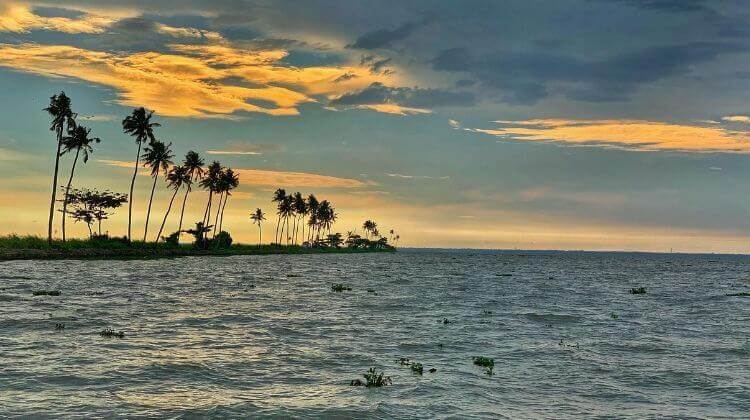 Vembanad Lake in Kerala, Second Largest Lake of Kerala | Picnicwale