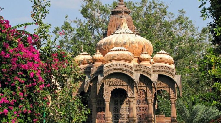 Mandore Gardens in Rajasthan Reviews