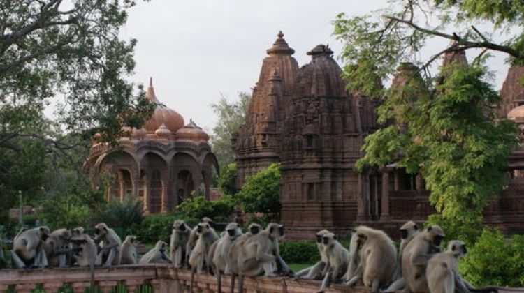 Tours Price for Mandore Gardens in Rajasthan