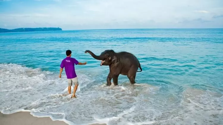 Package for Andaman 3Night 4Days