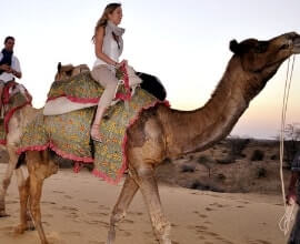 6 Nights 7 Days Rajasthan Tour Packages