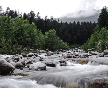 Manali Holiday Package
