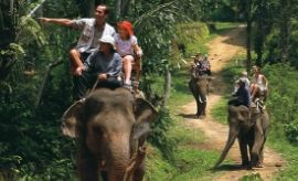 Elephant Ride in Goa